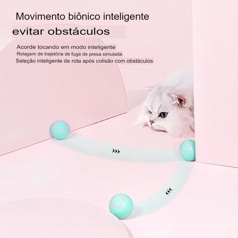 Bola de gato inteligente